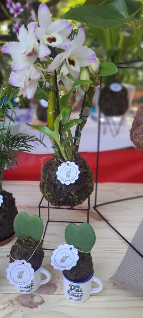 BEM-VINDA, PRIMAVERA na Praça dos Agricultores